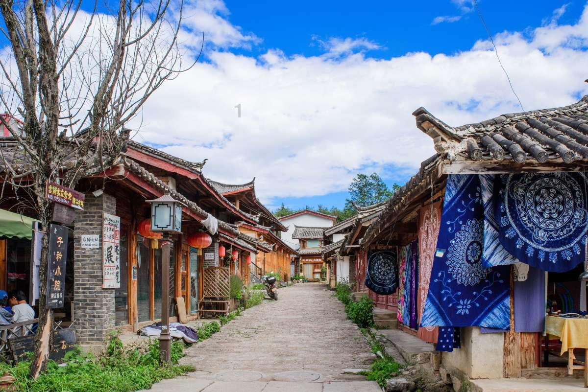 生化危机：浣熊市行动