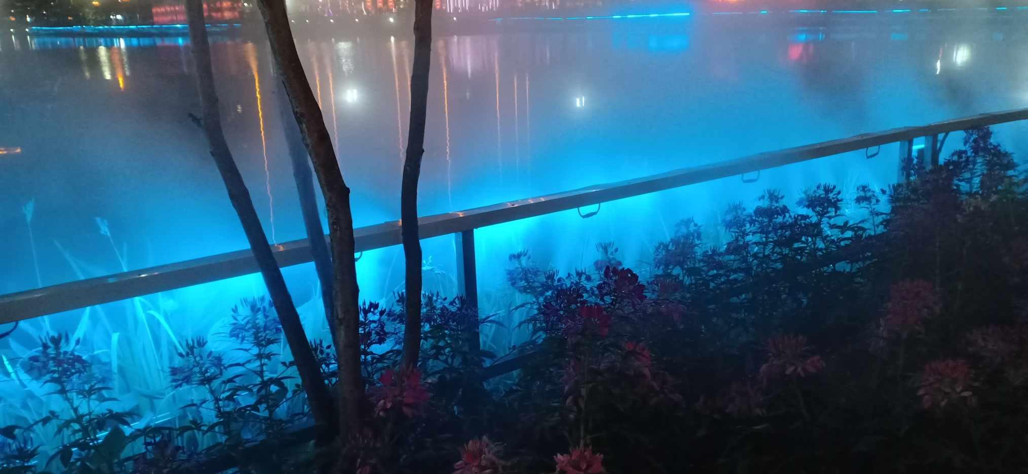 僵尸短跑